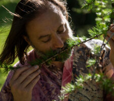 A man smells the branch of a pine tree