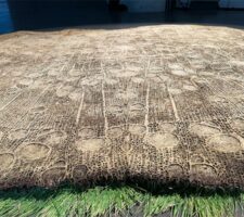 A close-up of Diana Scherer's floor work made of dried roots.