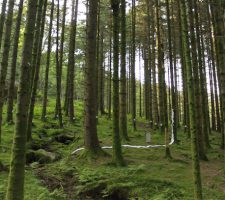 Berlin-Art-Link_OpenCall_HardbakkaRuinsProjects