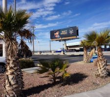 berlin-art-link-interview-jeremyshaw