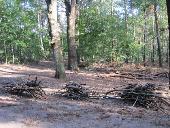 Berlin Art Link Studio Visit with Kathleen Vance