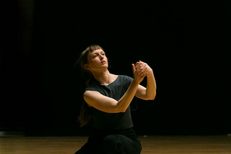 Berlin-Art-Link-The-Instrument-Sandra-Camey-6