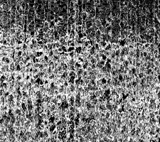 Berlin Art Link Studio Visit with Philipp Hennevogl