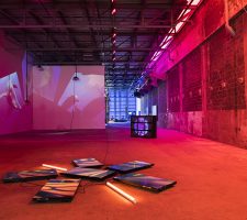 Diana Thater: Installation View of 'Diana Thater,' 2018. // Courtesy the artist and David Zwirner, New York/London/Hong Kong. Photo by Liza Voll Photography © Diana Thater