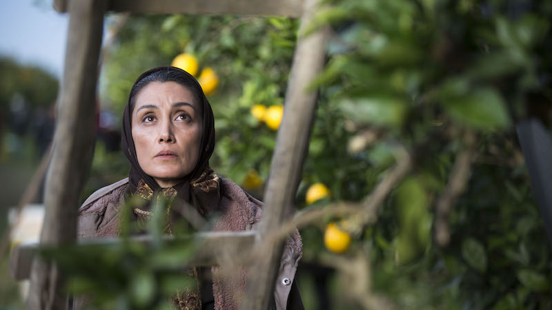 berlinartlink discover iranian films