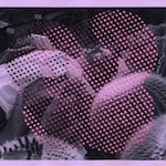 Melissa Steckbauer, Untitled