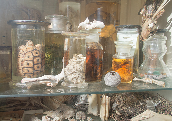 Berlin-Art-Link_Studio-Visit-Anne-Duk-Hee-Jordan_Photo-Alexander-Coggin_11