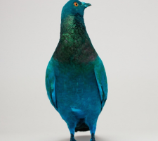 Berlin Art Link Studio Visits, Art Work by Julian Charrière and Julius von Bismarck; courtesy of the artists